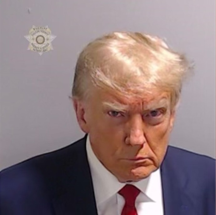 How does Donald Trumps mugshot make you feel?