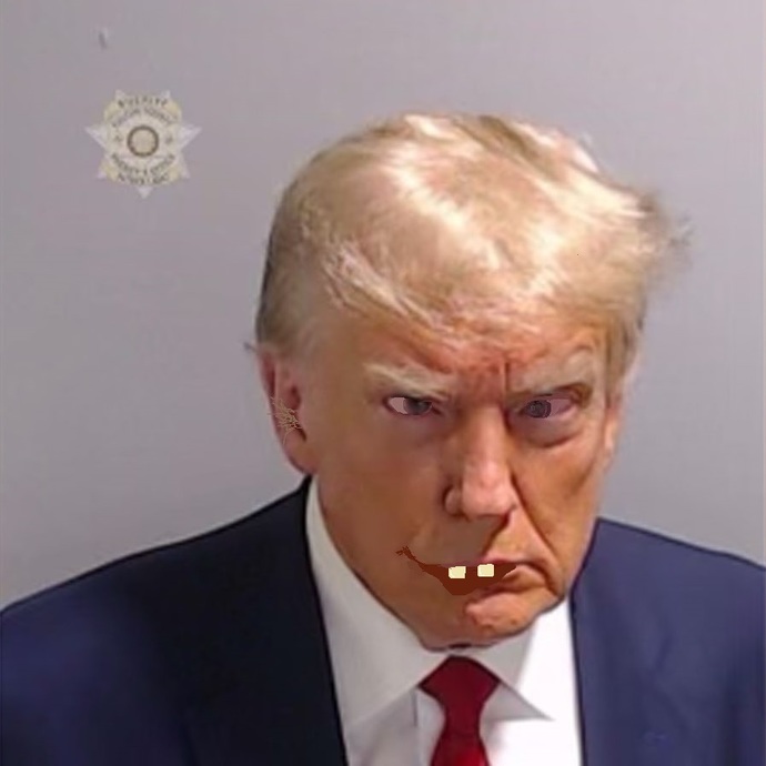 How does Donald Trumps mugshot make you feel?