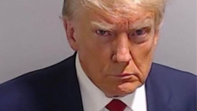 How does Donald Trump's mugshot make you feel?