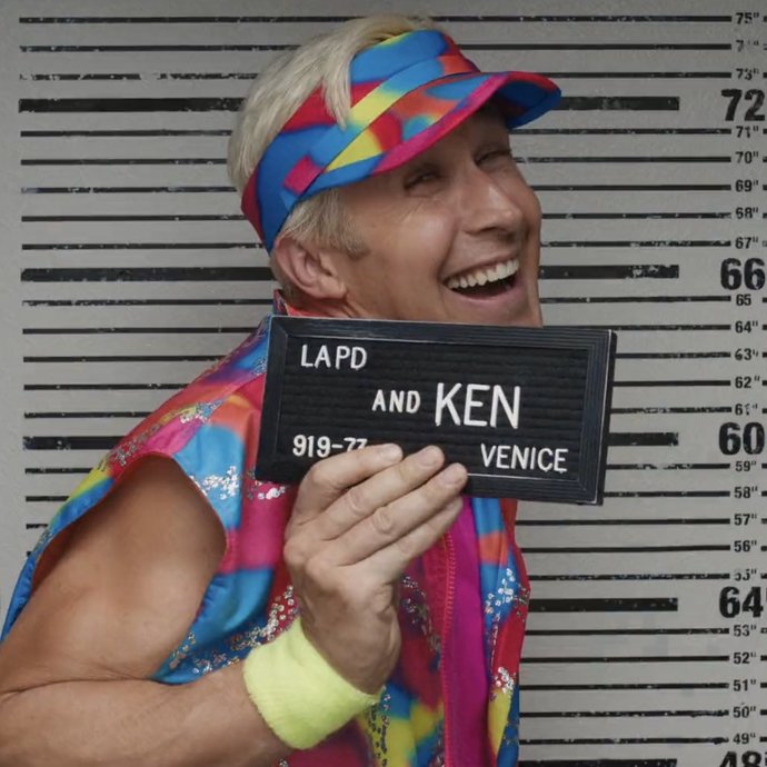 Would you smile in your mugshot?