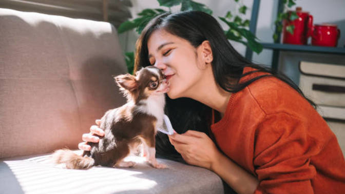 My Aunt wants to take her dog back that she gifted me. Please help, absolutely devastated?