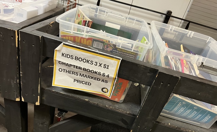 How sad is this at a crowded big box sale?