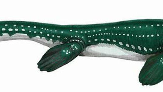 When you think of the most fearsome marine reptile, do you think of a mosasaur, pliosaur or ichthyosaur?