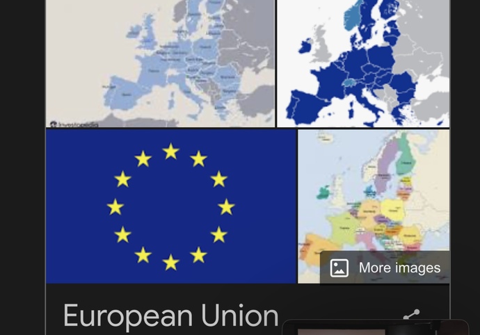 Why isn’t the EU ever compared to economies as a whole?
