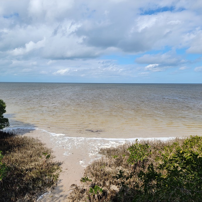 What brings you the most joy and happiness?