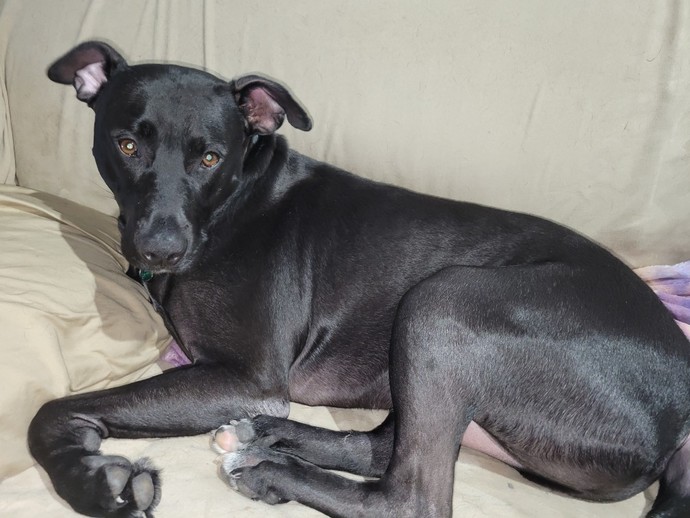 What brings you the most joy and happiness?