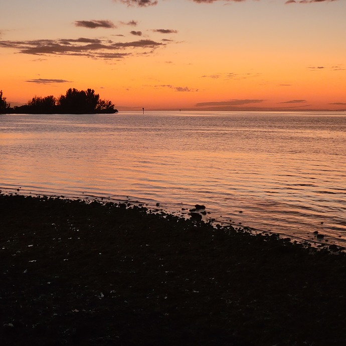 What brings you the most joy and happiness?