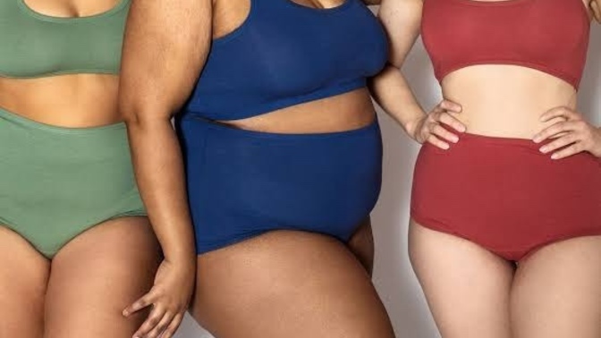 What is the difference between chubby and fat?