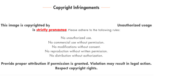 Guys and girls - a friend is starting a artwork business online & hes wondering if this copyright statement is too unfriendly / harsh?