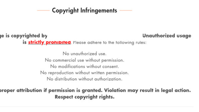 Guys and girls - a friend is starting a artwork business online & he's wondering if this copyright statement is too unfriendly / harsh?