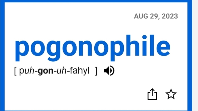 Are you a pogonophile?