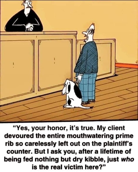Has the dog ever pinched your dinner?