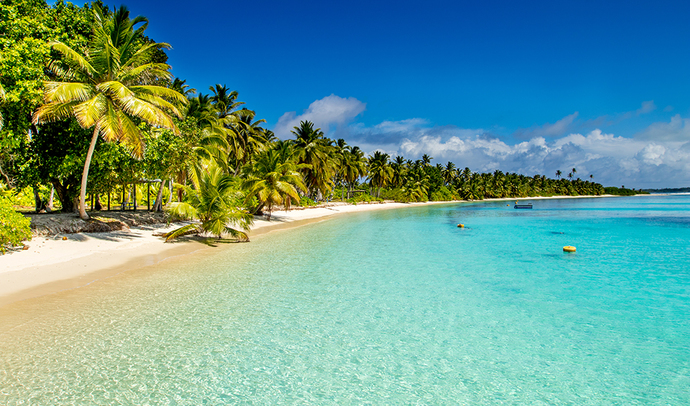 Very blue. Perfect!