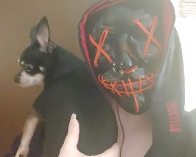 Do you ever wear costume items for daily life?