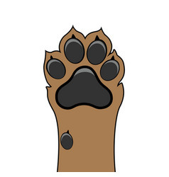 If you were a dog, what kind would you be?