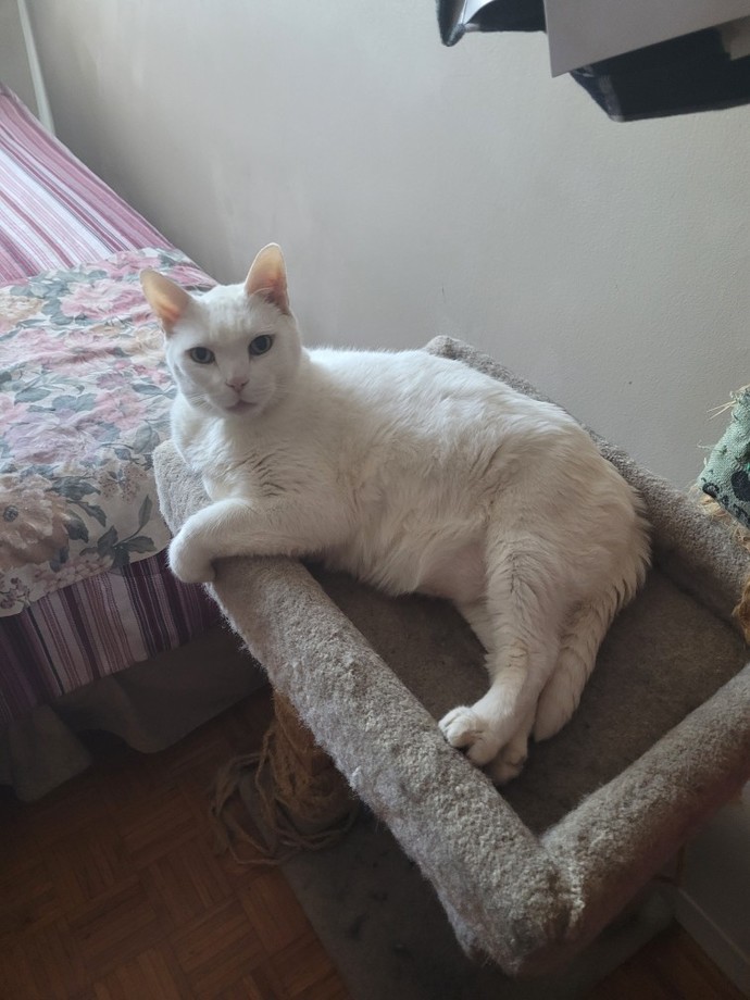 What was the last thing you were really sad about?