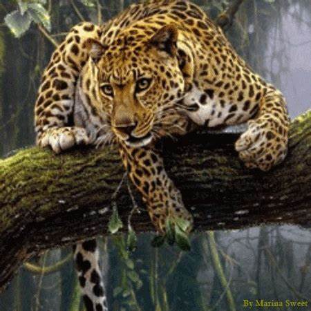 What's your favorite animal?
