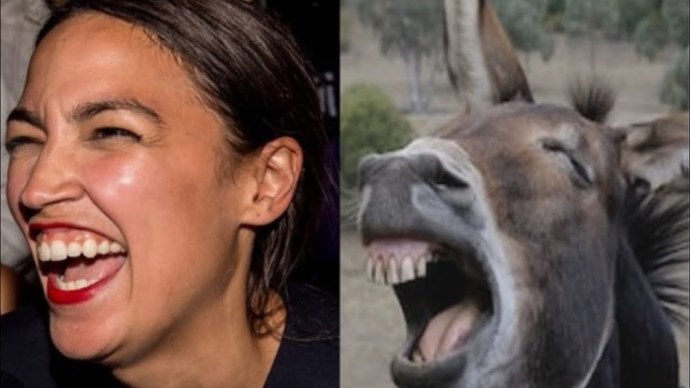 Guys, Conservatives: Imagine this... Biden is gone. Hes residing on the funny farm?