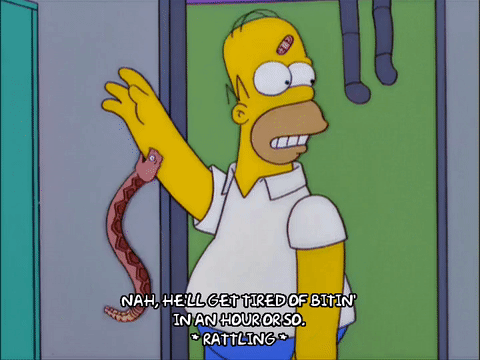 Are you afraid of snakes 🐍🐍🐍🐍?