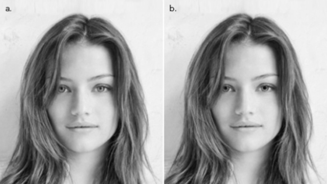Why are dilated pupils seen as more attractive?