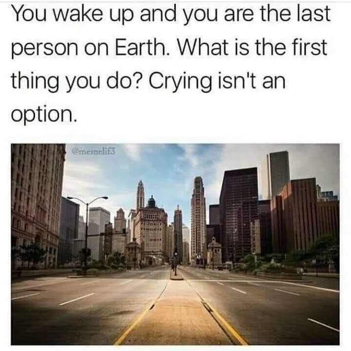 You wake up the last person on earth. What would you do?
