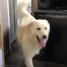Have you ever entered a room at your residence and completely forgot why you went in there?