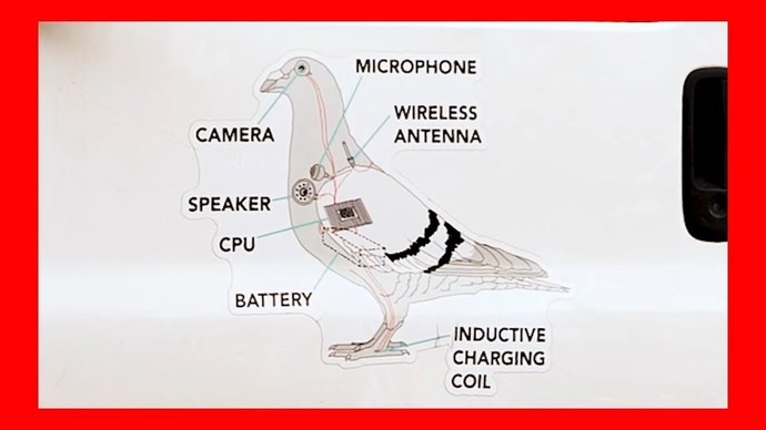 Are birds government surveillance devices?