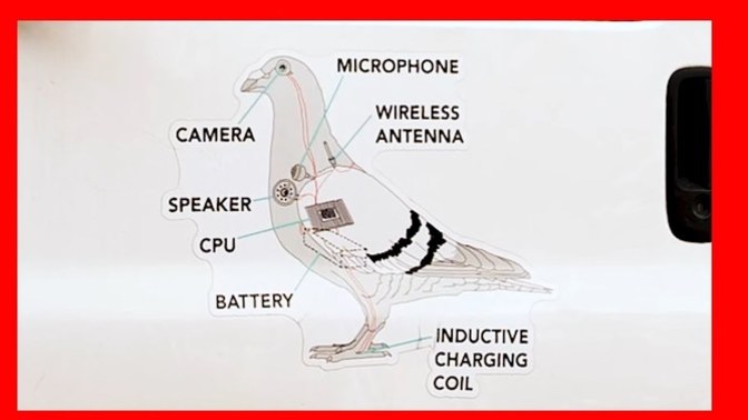 Are birds government surveillance devices?