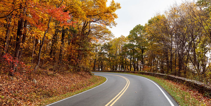 Whet was the best road trip you ever went on? Do you have a road trip planned for the future?