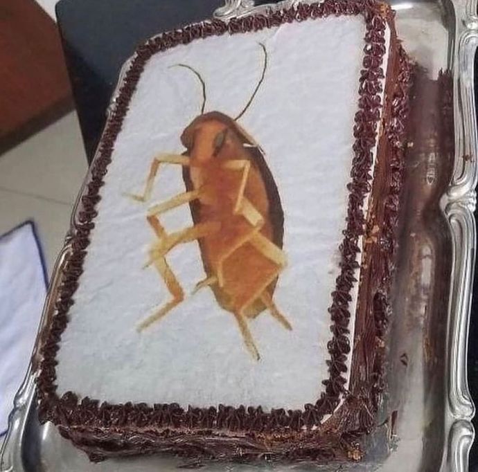 Is this cake something you would give to someone? Who?