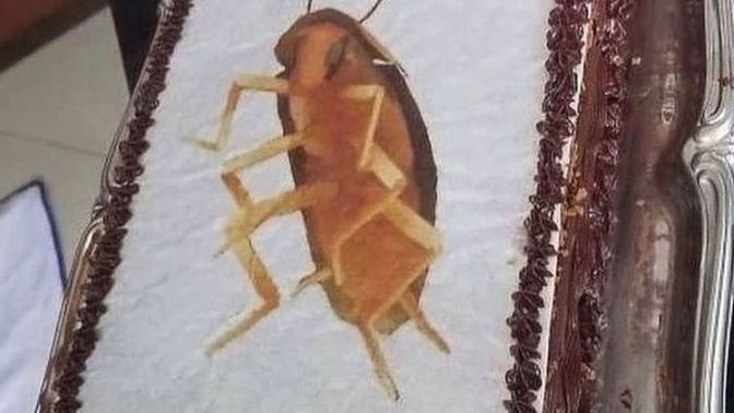 Is this cake something you would give to someone? Who?
