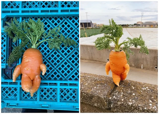 Would you buy this carrot?