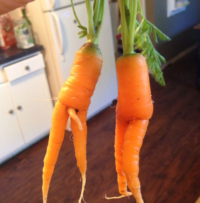 Would you buy this carrot?