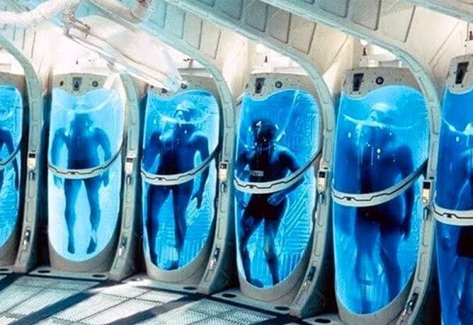 Would you like to be frozen so that you can be woken up on a later date?