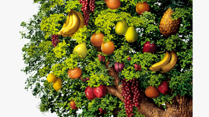 Girls, If YOU were Eve in the Garden of Eden could you resist the urge to eat the forbidden fruit from the tree of the knowledge of good and evil?