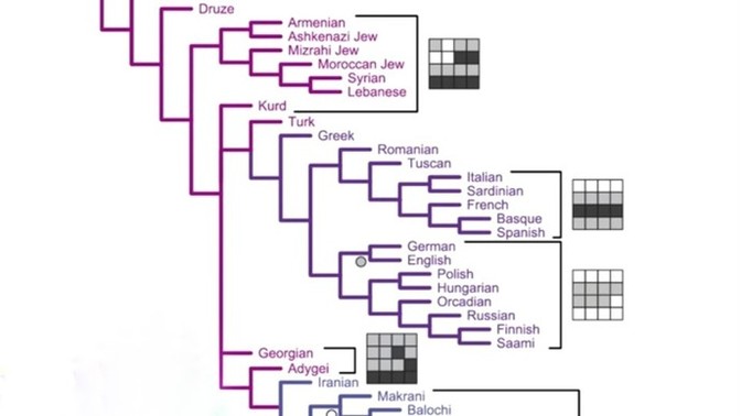 Did you know which nationalities you are genetically related to?