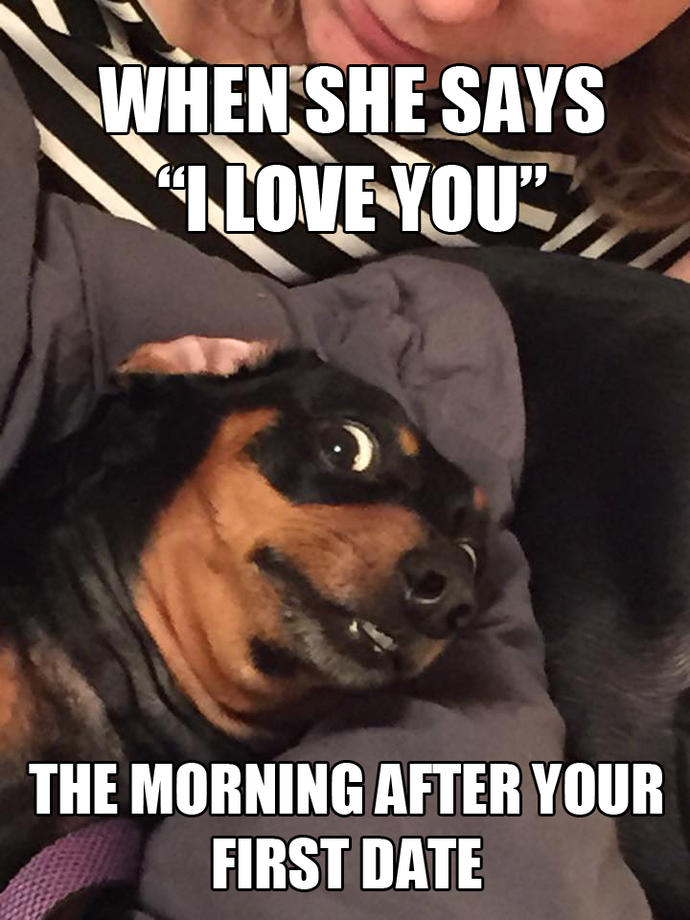 When someone youre dating says i love you within only a couple weeks of dating what do you think?