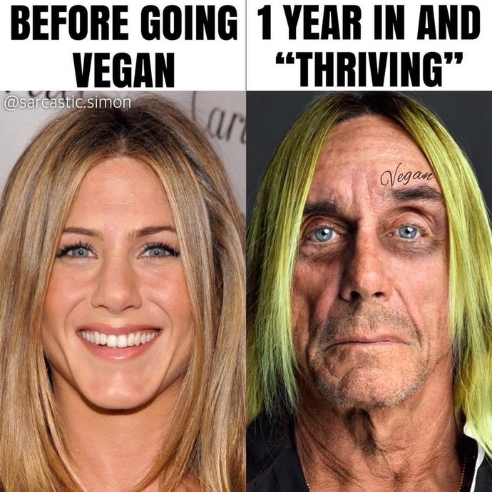 Am I sick from being vegan for 13 years? Should I stop?