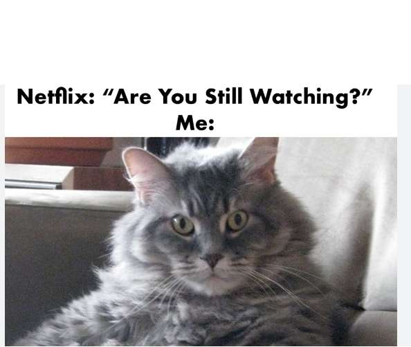 What series have you watched more than once because its so good👀?