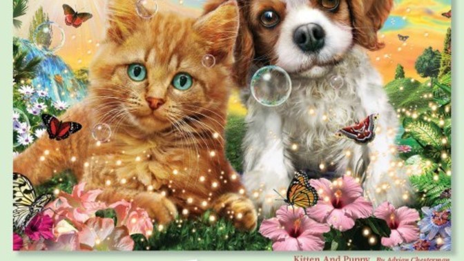 Have you ever put together a puzzle?