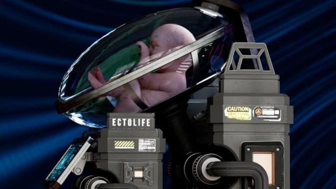 Would you be for or against the idea of fully growing your baby in an incubator for 9 months?