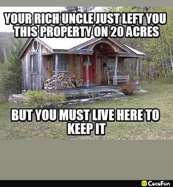 Would you live in it?