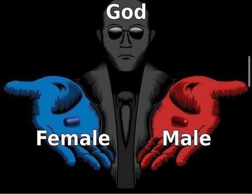 Do bisexuals have a preference?