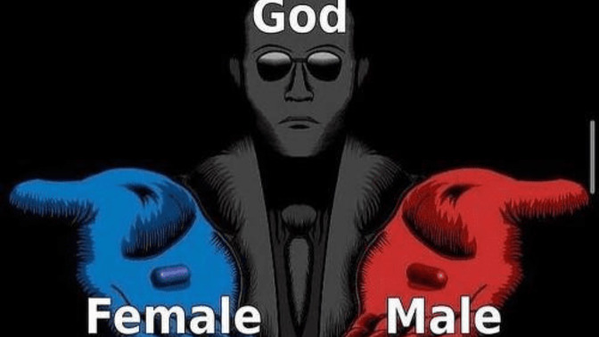 Do bisexuals have a preference?
