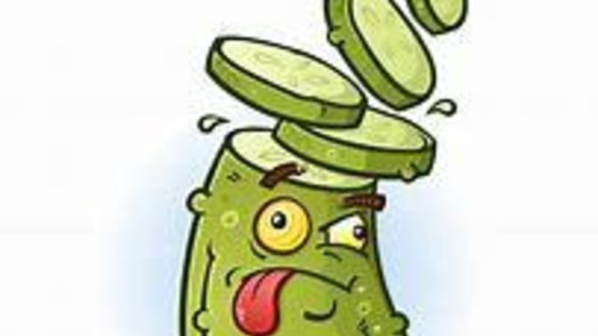 What kind of pickles do you like?