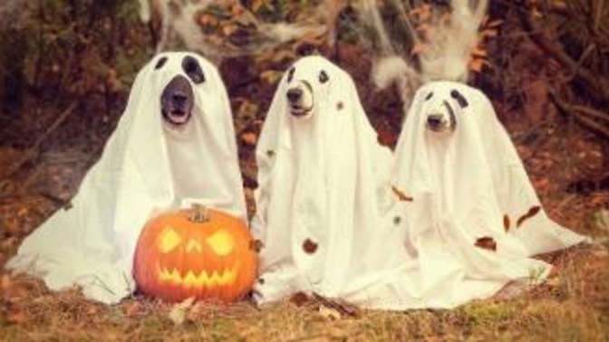Have you ever done ghost hunting?