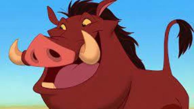 Is Pumbaa actually the one with the brains instead of Timon?