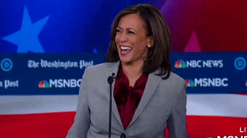 Do you think that illegal border crossings will skyrocket now that Kamala just quit her border czar job?