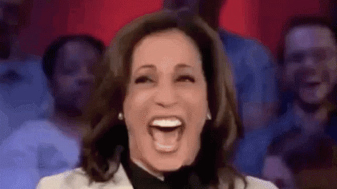 Do you think that illegal border crossings will skyrocket now that Kamala just quit her border czar job?