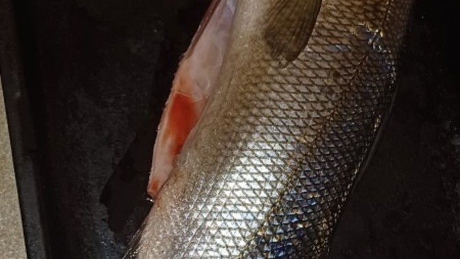 What can I stuff in fish?
